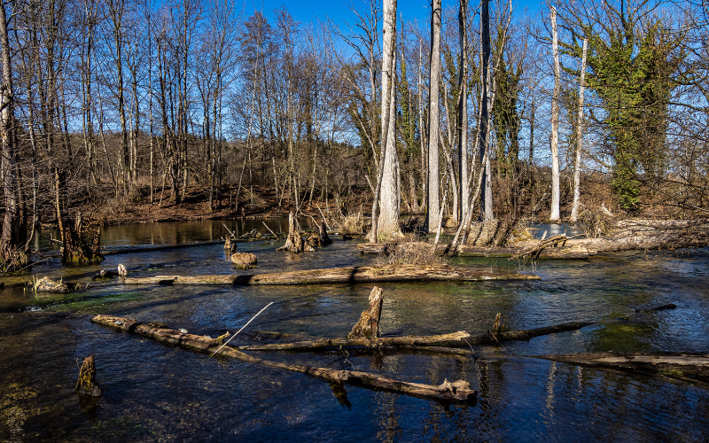 Entrümpelung im Landkreis Fürstenfeldbruck
